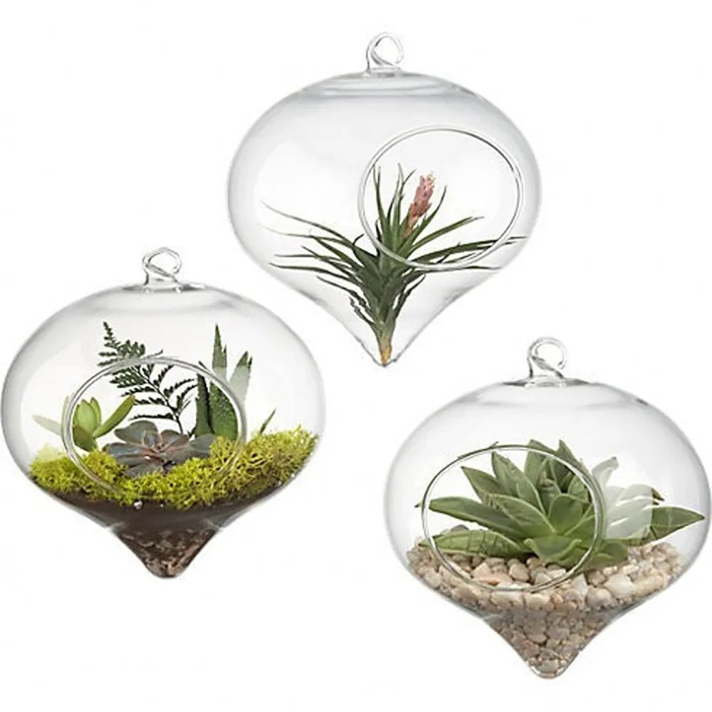 Clear Hanging Vase Glass Planter Succulents Plant Ball Container Home Decor Garden Ball Planting Bottle Flower Pot Vases