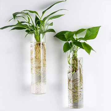 2pcs Wall mounted flower pots plant glass bottles perfect for home decoration gardens offices accessories tube containers