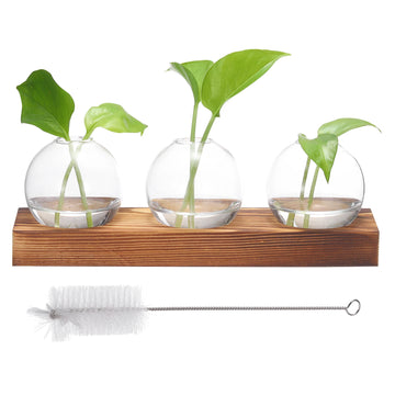 Glass Vases with Wooden Tray 3 Bulb Flower Vase Small Plant Propagation Stations for Wedding Bedroom Home Decor Table Decoration