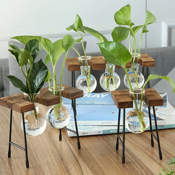 Wooden Frame Hydroponic Planter with Glass Bulb - Indoor Bonsai Plant Vase for Home Tabletop Office Desk Modern Decor