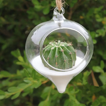 Clear Hanging Vase Glass Planter Succulents Plant Ball Container Home Decor Garden Ball Planting Bottle Flower Pot Vases
