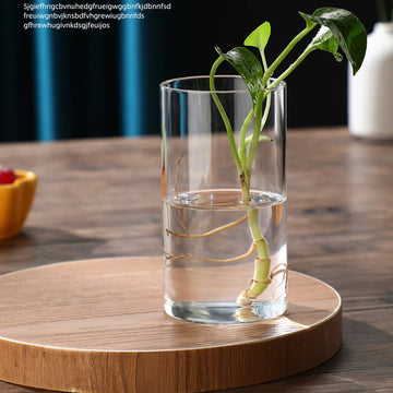 Glass Desk Vase Flower Vase Modern decoration Small Cylinder Flower Centerpiece Vases for Home Office Wedding Table