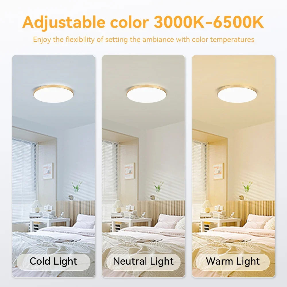 Modern LED Ceiling Light 220V LED Lights Living Room Lighting Three-Color Dimming Lighting Remote Control Ceiling Lamp Ceiling