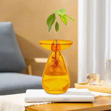 Colorful Transparent Avocado Hydroponic Vase Long Oval Hydroponic Vessel Growing Plant Glass Gardening Lovers Home Decor
