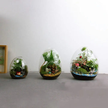 Transparent Egg-shaped Glass Bottles Succulent Glass Vase Hydroponic Fleshy Micro Landscape Glass Terrarium Moss Home Decoration