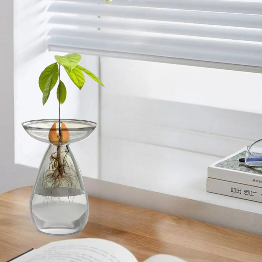 Colorful Transparent Avocado Hydroponic Vase Long Oval Hydroponic Vessel Growing Plant Glass Gardening Lovers Home Decor