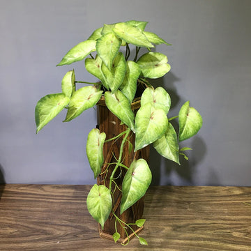 22in Large Artificial Hanging Plants Fake Ferns Leaves Plastic Begonia Plants For Home Room Garden Wedding Garland Decoration