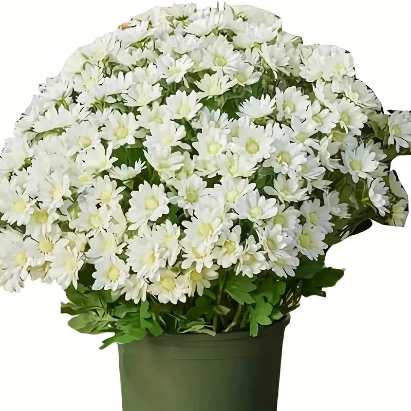 5 Bundles of Realistic Artificial Chrysanthemums - Vibrant Orange-Red and Yellow Autumn Flowers with Lush Greenery, Weather-Resistant Plastic Chrysanthemums, Realistic Flowers and Faux Leaves, Suitable for Indoor/Outdoor Year