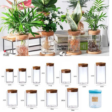 Transparent Hydroponic Flower Pot Water Planting Vase Container Lazy Flowerpot Tabletop Plants Bonsai Office Home Decor