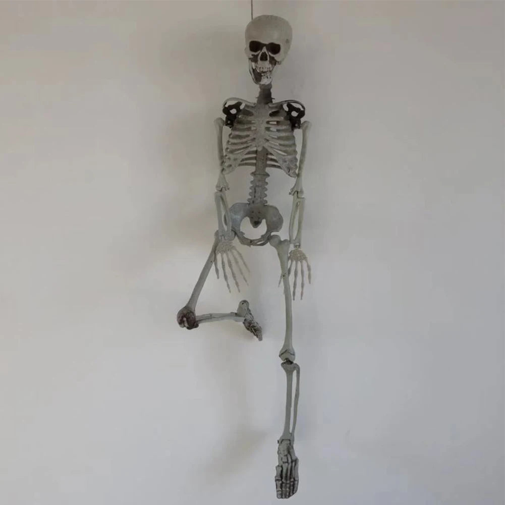 Halloween Decorative Skull Sculpture Movable/Posable Joints Human Skeleton Figure Full Size for Yard Garden Patio Haunted House