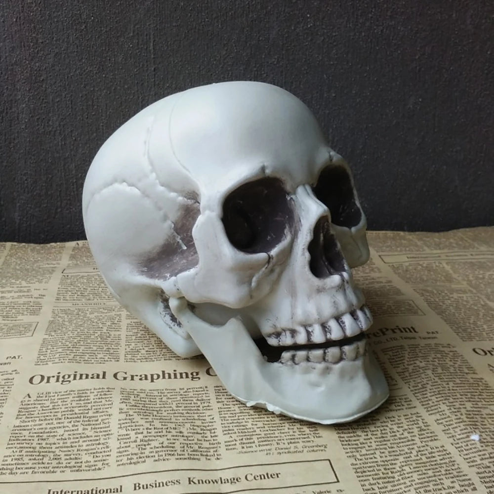 Halloween Skull Decoration,Realistic Plastic Skull,Head Skeleton,Halloween Party Home Yard Decoration,Haunted House Horror Props