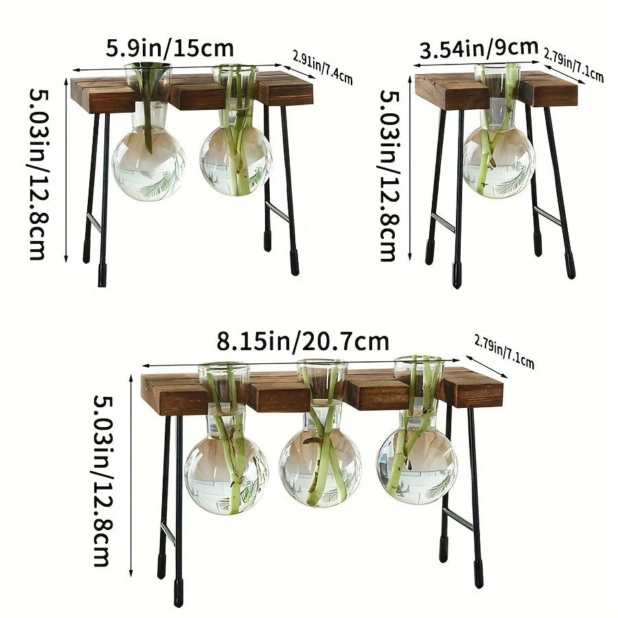 Wooden Frame Hydroponic Planter with Glass Bulb - Indoor Bonsai Plant Vase for Home Tabletop Office Desk Modern Decor