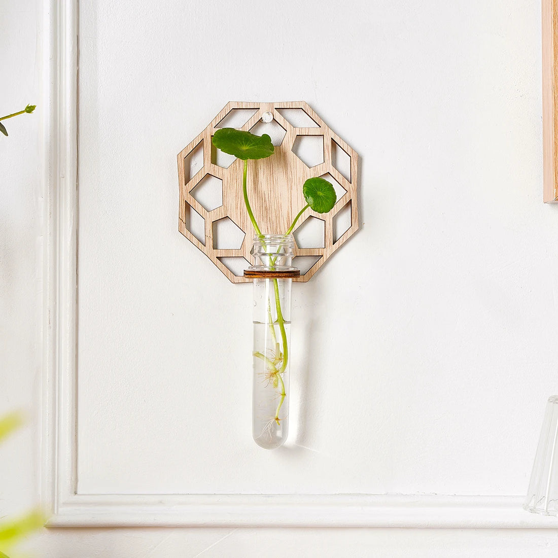 1PC Indoor Plant Wall Mounted, Wall Mounted Plastic Test Tube with Wooden Rack for Unique Gardening Plant Lovers