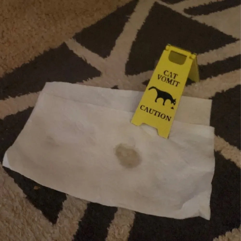 Cat Vomit Sign Cat Dog Vomit Sign Cat Vomit Floor Slippery Warning Sign Tips Decoration At Home Decor Items Bar Accessories