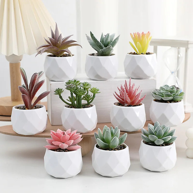 Mini Artificial Succulent Plants Set Realistic Fake Cactus Bonsai for Indoor Home Desktop Low Maintenance Lifelike Ornament