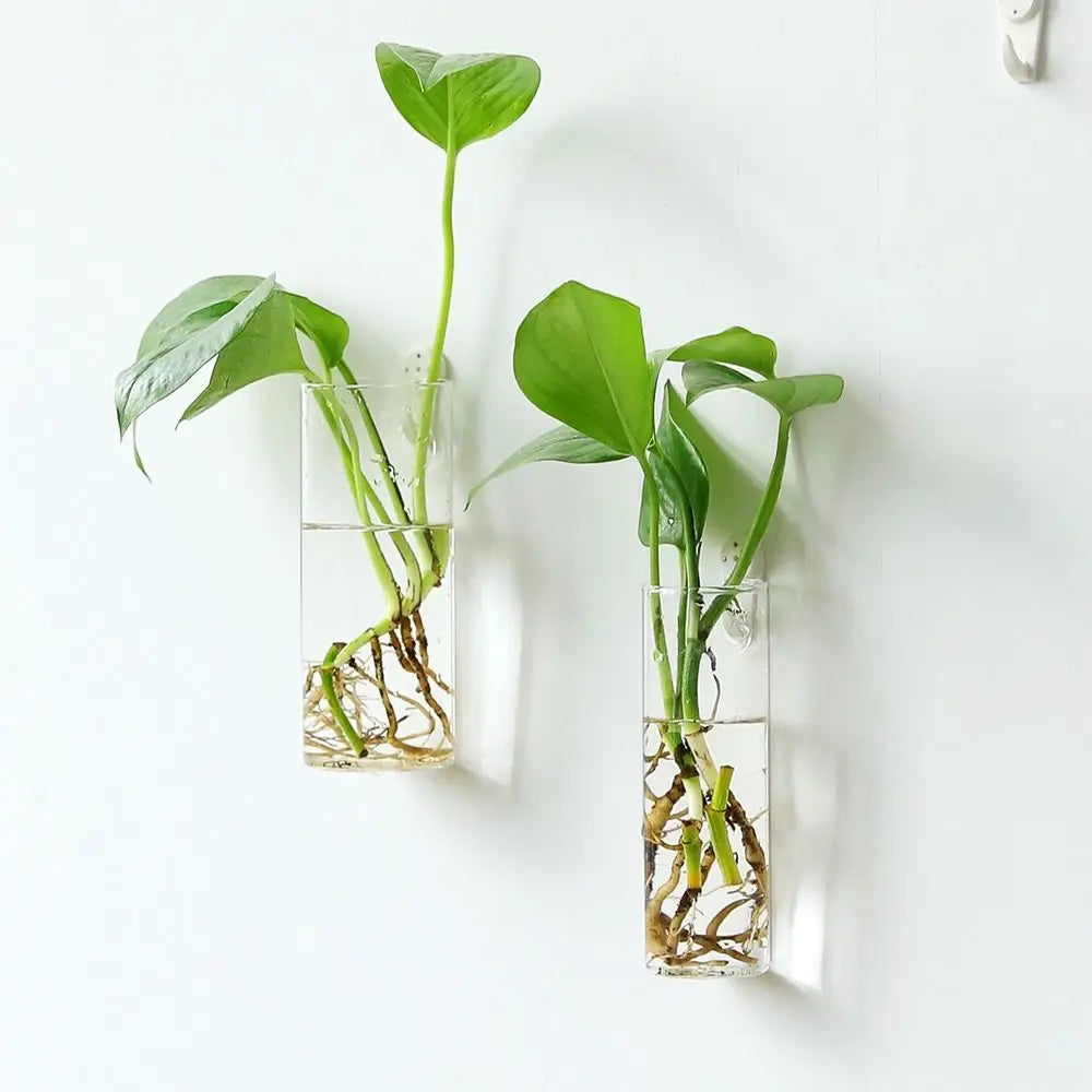 Irregular Shape Hydroponic Plants Glass Crafts Wall-mounted Fish Tank Hydroponic Vase Flower Pot Plant Container Flower Vase
