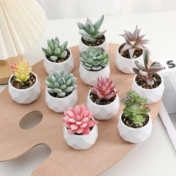 Mini Artificial Succulent Plants Set Realistic Fake Cactus Bonsai for Indoor Home Desktop Low Maintenance Lifelike Ornament