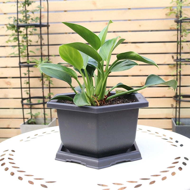 Rectangular Flowerpots Bonsai Flower Pot Imitation Purple Clay Pots Outdoor Garden Succulent Plants Pot Landscape Vase