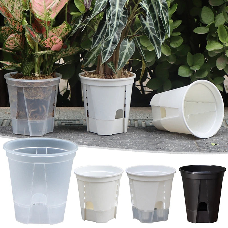 Water Storage Flowerpot Transparent Bonsai Basin Plant Pot Butterfly Orchid Breathable Hydroponic Pot Self Absorbing Lazy Basin