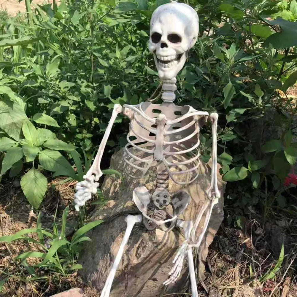 40-170cm Poseable Full Life Size Human Skeleton Halloween Horror Anatomy Movable Skull Skeleton Halloween Decoration Party Prop