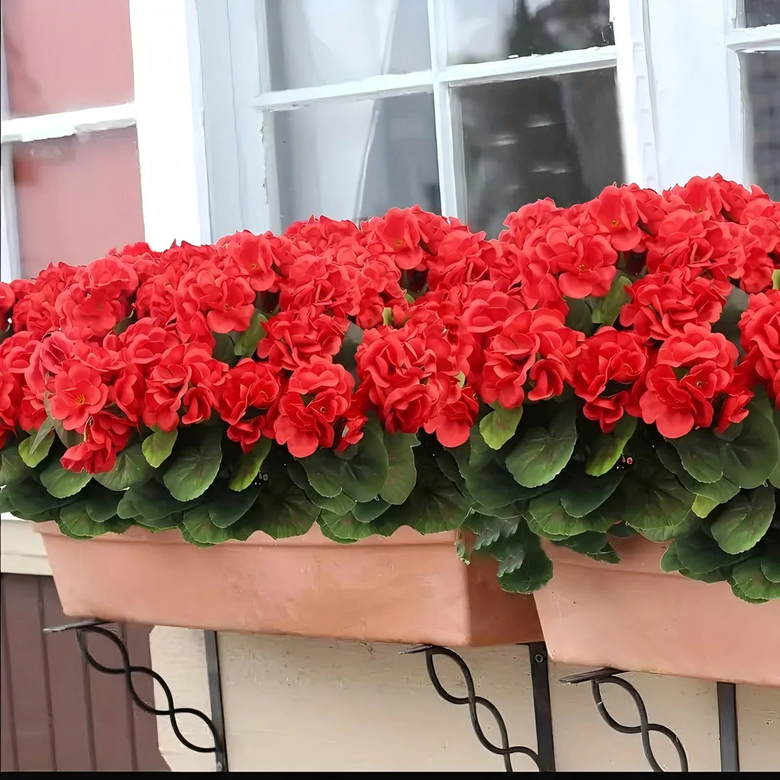 1/3/5 Pieces of Uv-Resistant Geranium - Bright Red Artificial Flowers with Green Leaves, Suitable for Indoor and Outdoor Decoration, Perfect for Pairing with Gardens, Courtyards, and Special Occasions Like Weddings, and Adapt