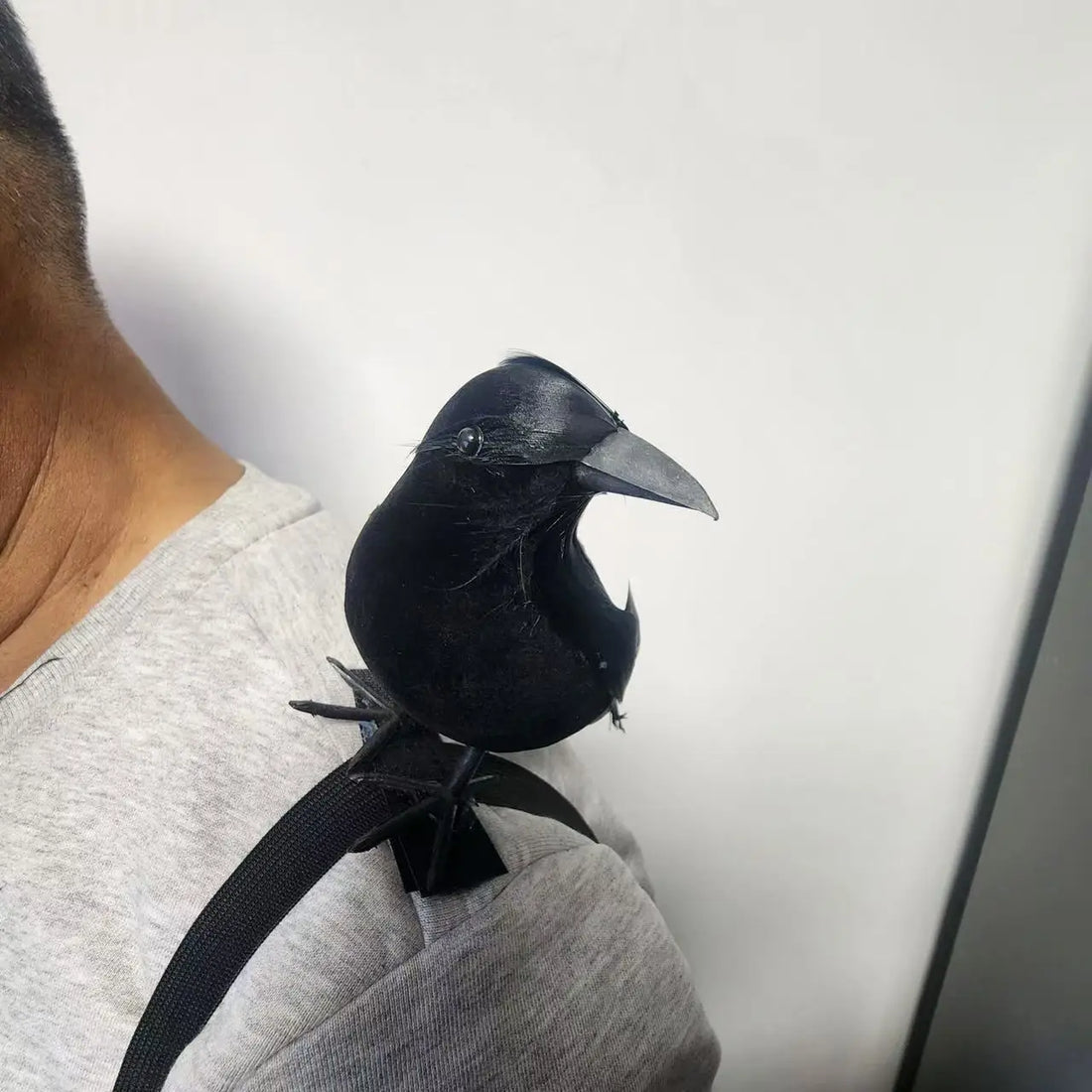 Halloween Simulation Crow Shoulder Crow with Elastic Band Dance Cosplay Costume Accessories Crow Props Holiday Ornaments