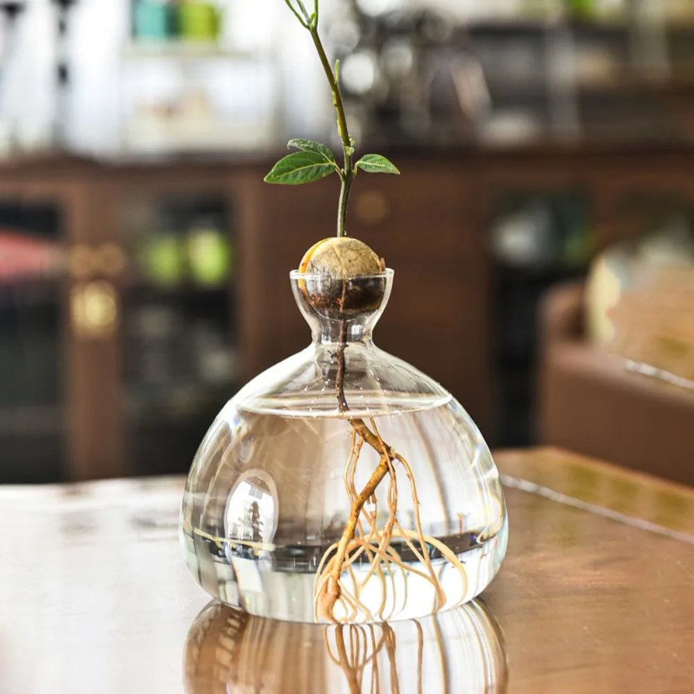 Avocado Seed Starter Vase Avocado Vase for Growing Avocado Seed Growing Kit Plant Glass with Stickers Gift for Gardening Lovers